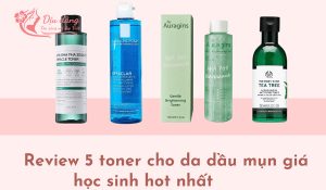 top-5-toner-cho-da-dau-mun-gia-hoc-sinh