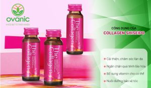 Collagen-Shiseido-giup-chong-lao-hoa