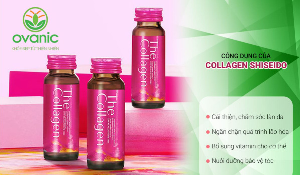 Collagen-Shiseido-giup-chong-lao-hoa